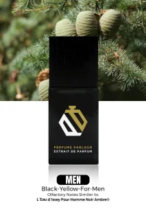 Issey Miyake L'Eau d'Issey pour Homme Noir Ambré