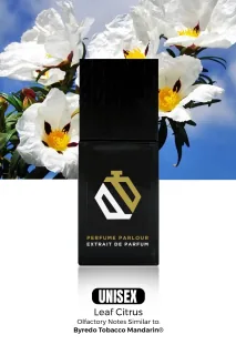 Byredo Tobacco Mandarin