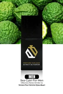 Versace Versace pour Homme Dylan Blue