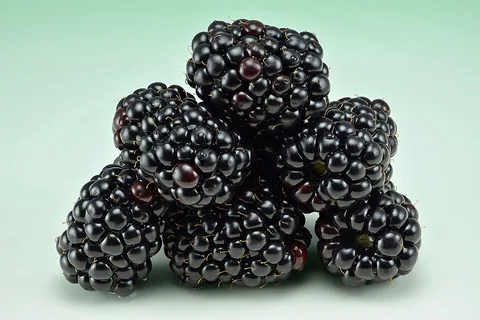 Brombeere