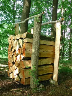 Cade-Holz