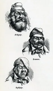 Deutsche Schwertlilie Orpur®