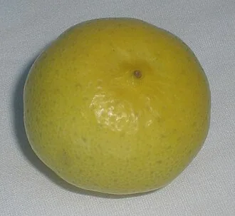 Echte Limette