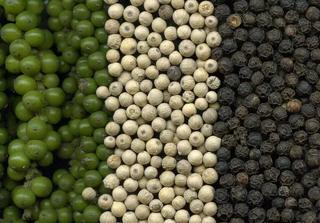 grüner Pfeffer