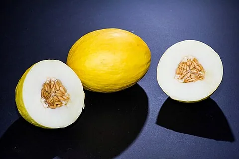 Honigmelone