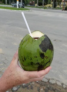 Kokoswasser