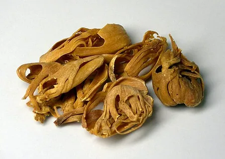 Muskatblüte