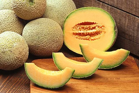 persische Melone