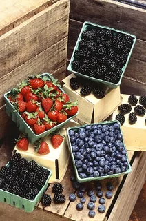 rote Beeren
