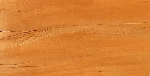 Satinholz