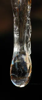 Vanille Resinoid