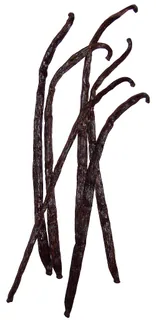 Vanilleholz