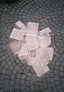 weiße Rose
